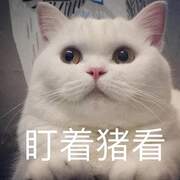 I am a ladyboy