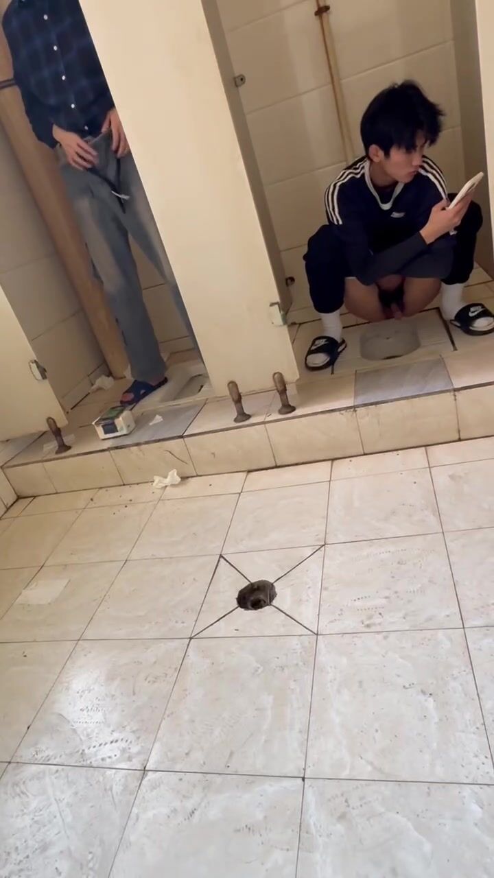 Chinese doorless squat toilet 46