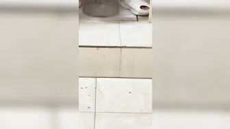 Chinese doorless squat toilet 57