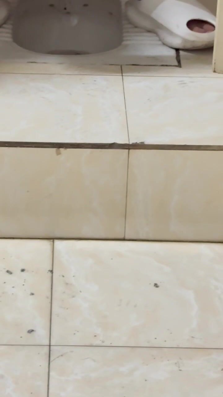 Chinese doorless squat toilet 57