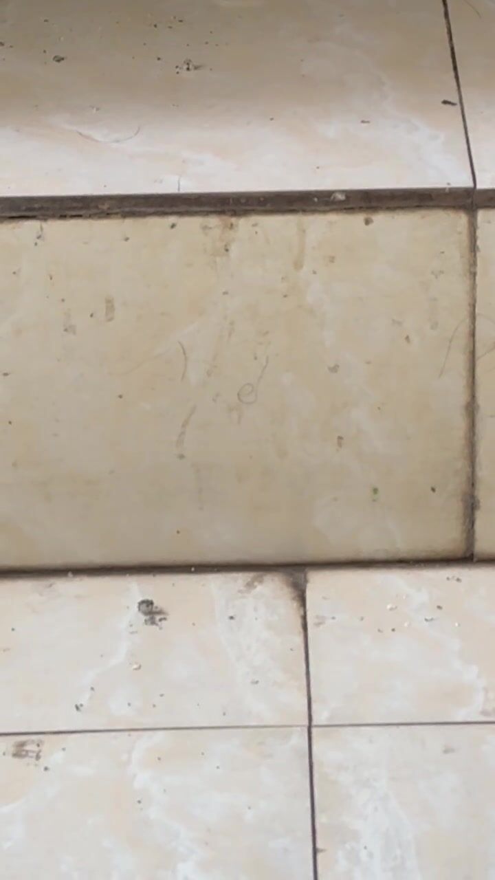 Chinese doorless squat toilet 67