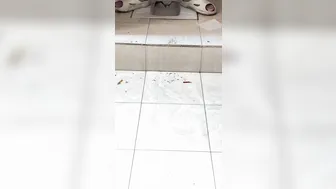 Chinese doorless squat toilet 87