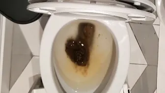 Clogged toilet