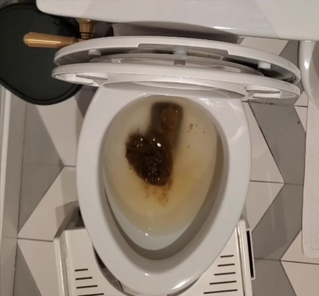 Clogged toilet