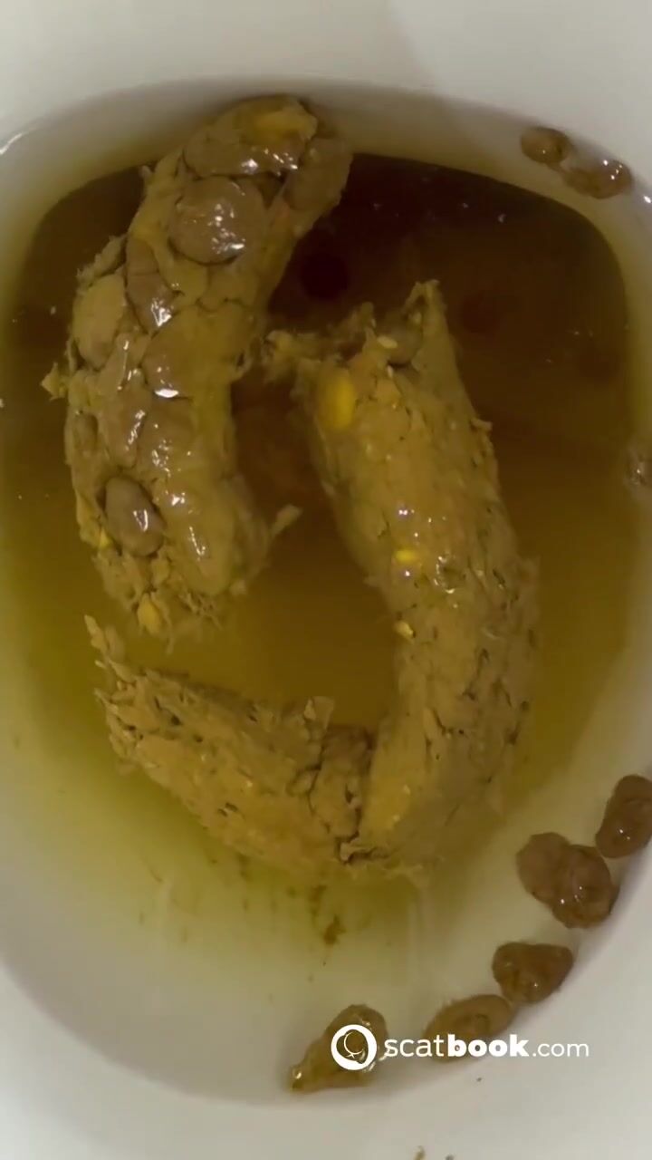 Vacation Dumps