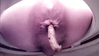 Japanese toilet spycam