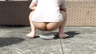 Shitting on a plate