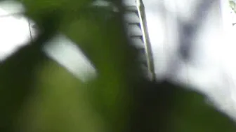 Older Truckers Pissing