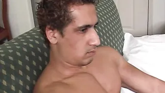 Arabian.Stud.Darius.