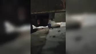 Toilet pat shit