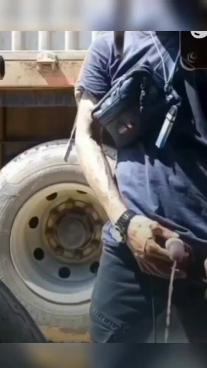 pissing 3