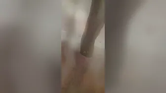 Pissing & Pooping