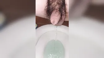 japanese poop 2