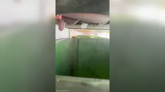 Festival toilet spy