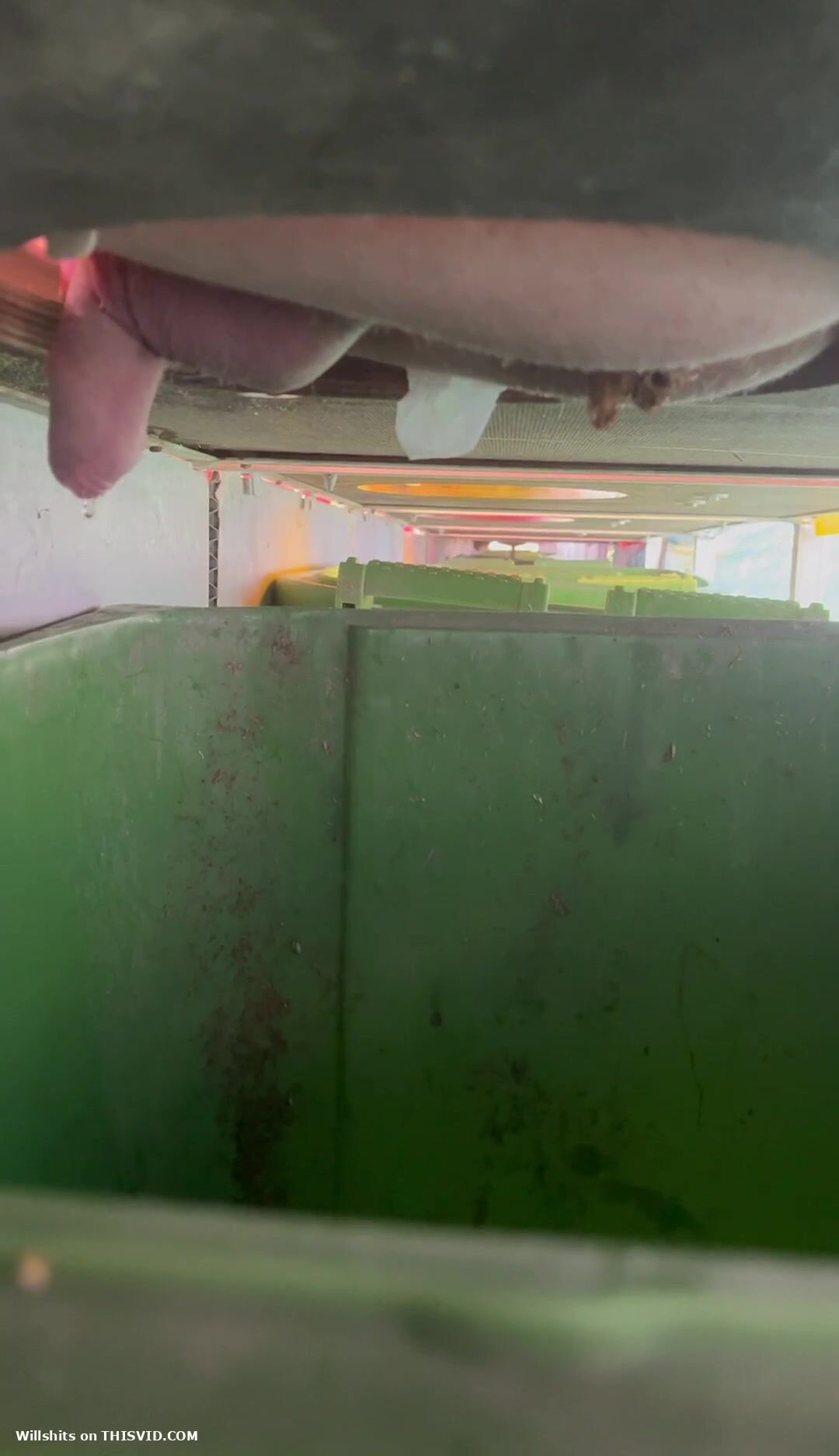 Festival toilet spy