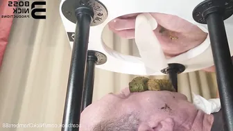 Two Masters One Toilet
