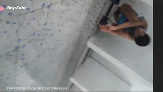 A stallion shit