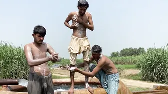 Just three buddies beating the heat